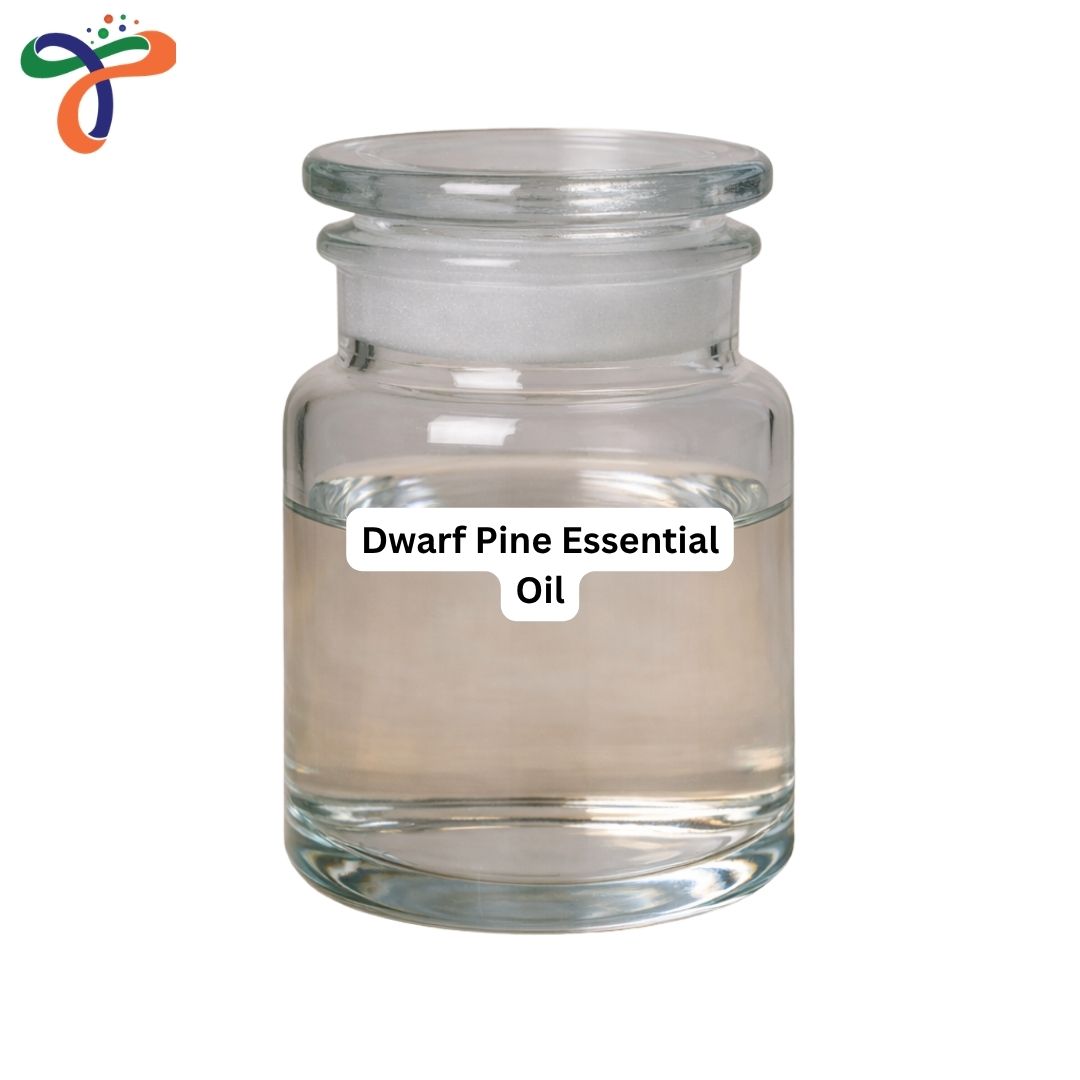 Dwarf Pine Essential Oil